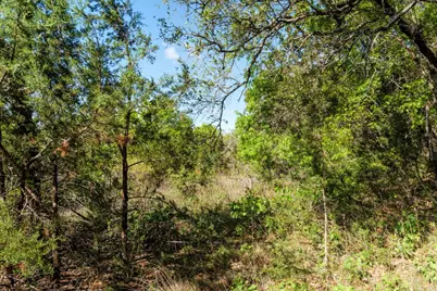 6801 Finklea Cove, Austin, TX 78730 - Photo 32