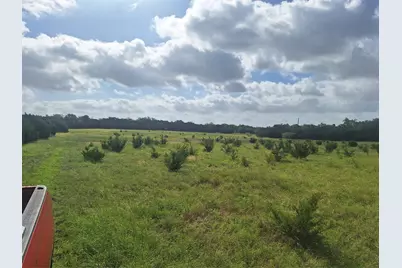 1483 County Road 281 Road, Leander, TX 78641 - Photo 6