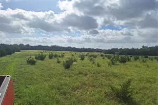 1483 County Road 281 Rd, Leander, TX 78641 - Photo 6