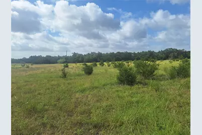 1483 County Road 281 Road, Leander, TX 78641 - Photo 4