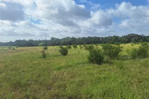 1483 County Road 281 Rd, Leander, TX 78641 - Photo 4