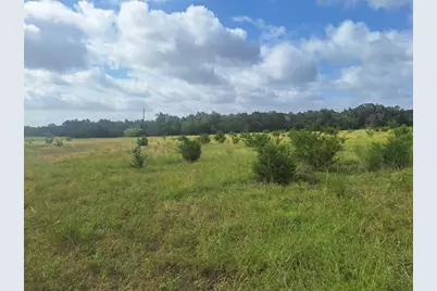 1483 County Road 281 Road, Leander, TX 78641 - Photo 4