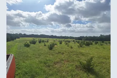1483 County Road 281 Road, Leander, TX 78641 - Photo 6