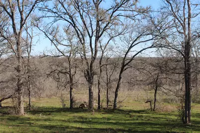 1223 County Road 429, Dime Box, TX 77853 - Photo 10