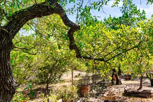 601 Hays Country Acres Rd, Dripping Springs, TX 78620 - Photo 30