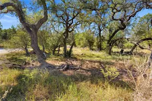 20204 Barnett Glenn Rd, Spicewood, TX 78669 - Photo 30