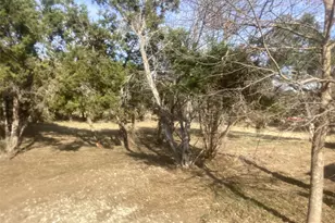 24510 Long Hollow Trail, Leander, TX 78641 - Photo 20