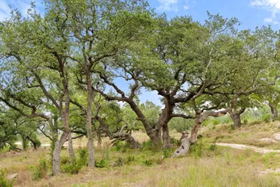 1850 Pursley Road, Dripping Springs, TX 78620 - Photo 12
