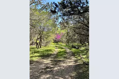 907 Deertrail Drive, San Marcos, TX 78666 - Photo 32