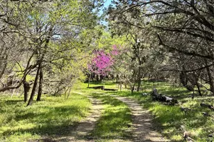 907 Deertrail Dr, San Marcos, TX 78666 - Photo 32