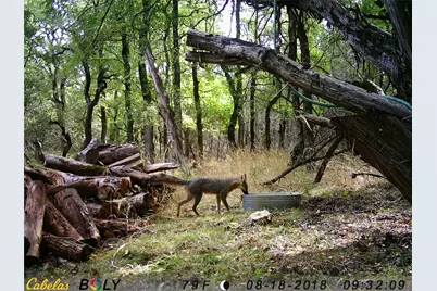 907 Deertrail Drive, San Marcos, TX 78666 - Photo 38