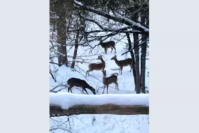 907 Deertrail Drive, San Marcos, TX 78666 - Photo 36