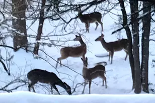 907 Deertrail Dr, San Marcos, TX 78666 - Photo 36