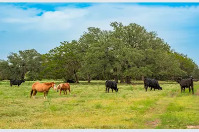 00 County Road 284, Liberty Hill, TX 78642 - Photo 10
