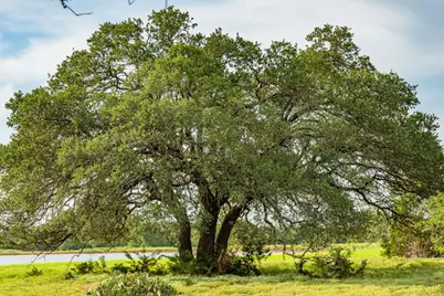 00 County Road 284, Liberty Hill, TX 78642 - Photo 22