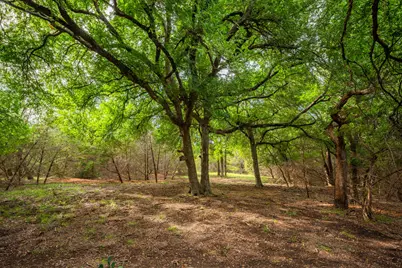 00 County Road 284, Liberty Hill, TX 78642 - Photo 16