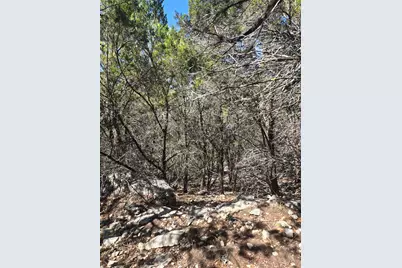 358 Balcones Ridgeway Way, Bertram, TX 78605 - Photo 24