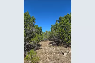 358 Balcones Ridgeway Way, Bertram, TX 78605 - Photo 10