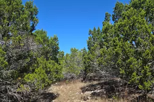 358 Balcones Ridgeway Way, Bertram, TX 78605 - Photo 10