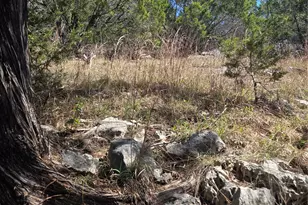 358 Balcones Ridgeway Way, Bertram, TX 78605 - Photo 12