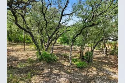 1801 Lightsey Road, Austin, TX 78704 - Photo 6
