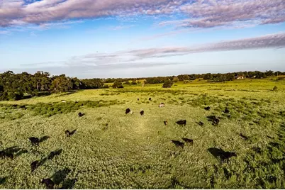 2993 County Road 320, Lexington, TX 78947 - Photo 14