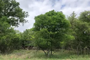 76 E Valley Springs Rd, Wimberley, TX 78676 - Photo 1