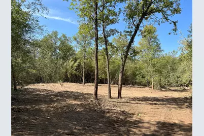 Lot 29D Mesquite Drive, Cedar Creek, TX 78612 - Photo 10