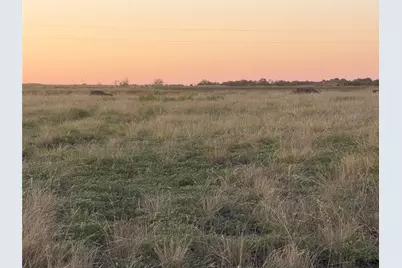 205 Tigerlily Way, Thrall, TX 76578 - Photo 8