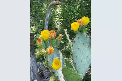 3000 Pettytown Road, Dale, TX 78616 - Photo 26