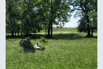 3000 Pettytown Road, Dale, TX 78616 - Photo 12