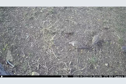 3000 Pettytown Road, Dale, TX 78616 - Photo 32