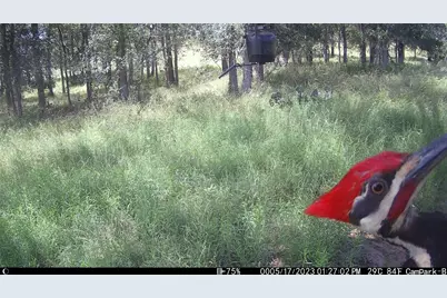 3000 Pettytown Road, Dale, TX 78616 - Photo 34