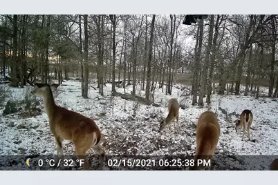 3000 Pettytown Road, Dale, TX 78616 - Photo 24