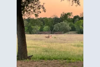 3000 Pettytown Road, Dale, TX 78616 - Photo 20