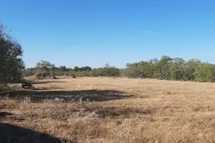 3160 Pettytown Rd, Dale, TX 78616 - Photo 20