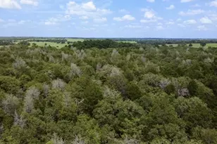 Tbd County Road 337, Lexington, TX 78947 - Photo 1