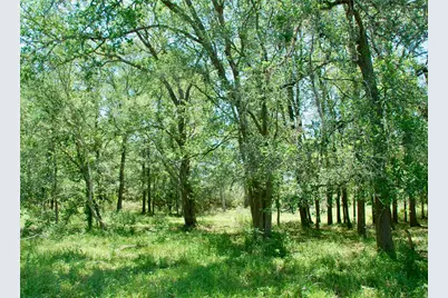 1070 Muehr Road, Weimar, TX 78962 - Photo 18