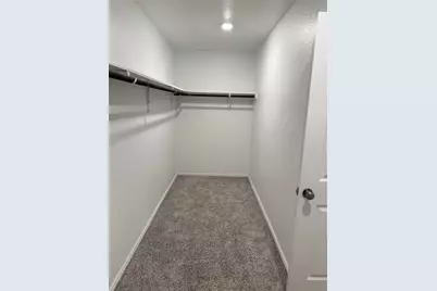 3301 Dusted Daisey Street, Pflugerville, TX 78660 - Photo 14