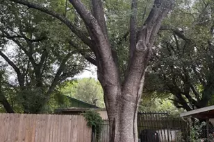 [Address not provided], Austin, TX 78744 - Photo 4