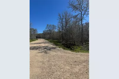Lots 320 and 321 Kolekole Lane, Bastrop, TX 78602 - Photo 2