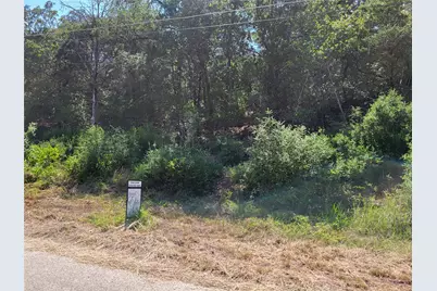 36141 & 36149 Kaelepulu Drive, Bastrop, TX 78602 - Photo 1