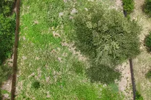 14601 Zurick Dr, Del Valle, TX 78617 - Photo 4