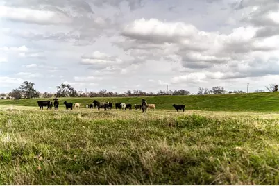 121 Mechelle Street, Smithville, TX 78957 - Photo 8