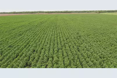 Tbd Cr 240, Cameron, TX 76520 - Photo 10