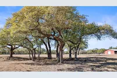 2801 Martin Road, Dripping Springs, TX 78620 - Photo 12