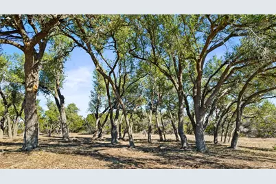 2801 Martin Road, Dripping Springs, TX 78620 - Photo 8