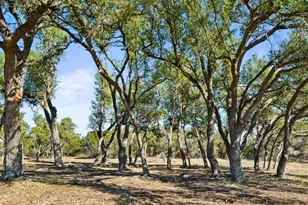 2801 Martin Rd, Dripping Springs, TX 78620 - Photo 8