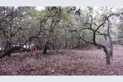 Lot 46 Mountain Wood, Canyon Lake, TX 78133 - Photo 4