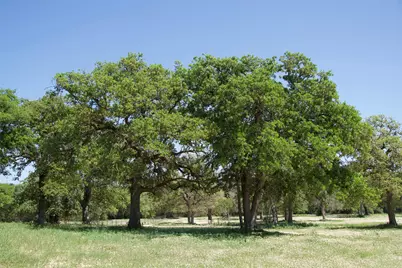 1035 Old Sayers Road, Elgin, TX 78621 - Photo 2